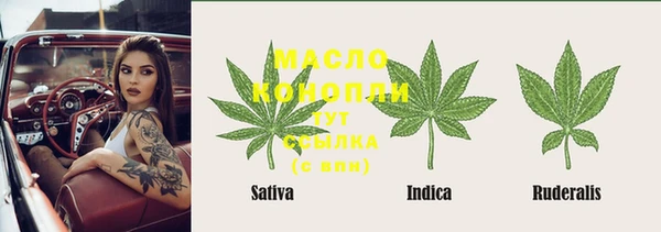 молекула духа Володарск