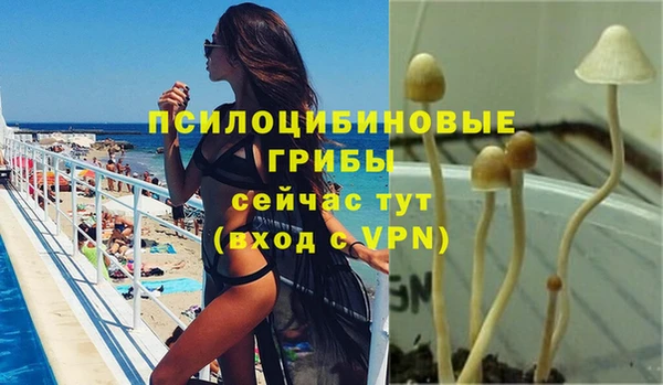 мдпв Волосово